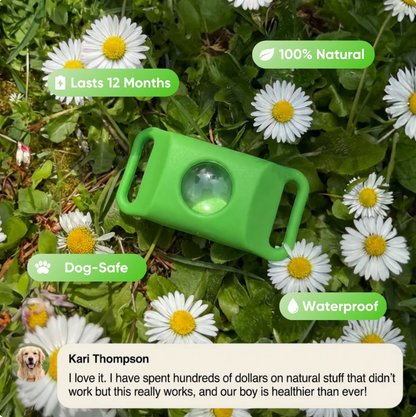 12 Months Flea & Tick Free