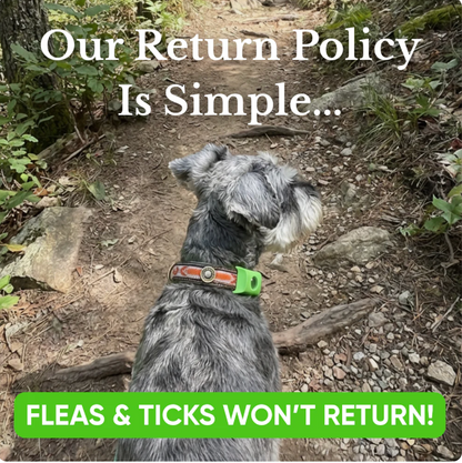 12 Months Flea & Tick Free